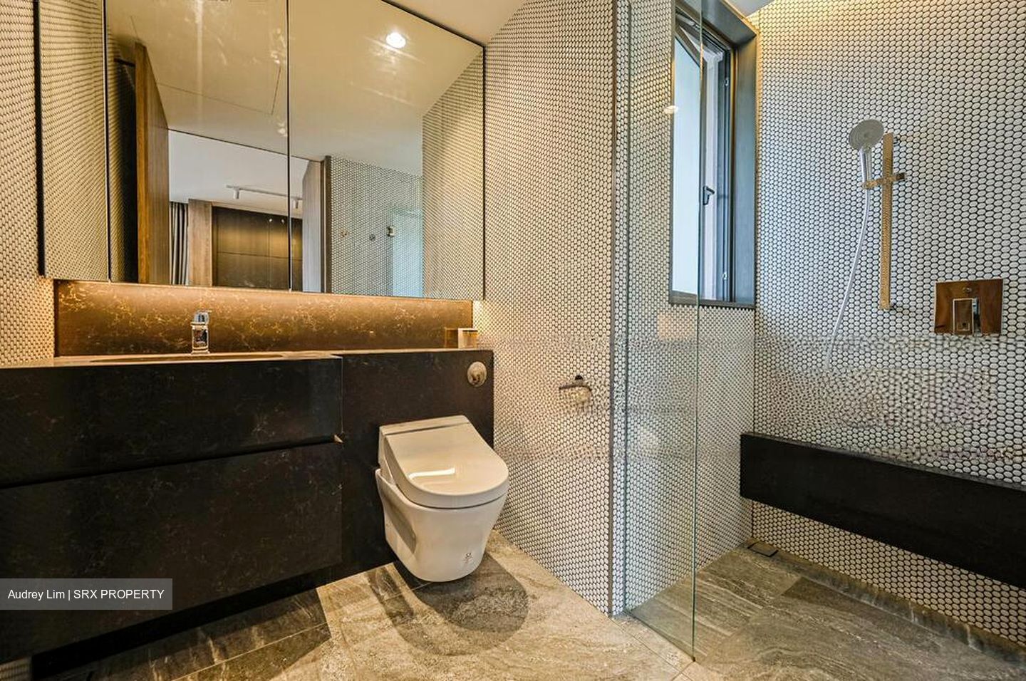 10 Evelyn (D11), Apartment #463540361